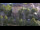 Webcam in Bad Wildbad, 9.9 mi away