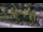 Webcam in Bad Wildbad, 9.9 mi away
