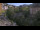 Webcam in Bad Wildbad, 11.9 mi away