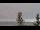 Webcam in Lindau (Lago Constanza), 8.5 km