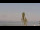 Webcam in Lindau (Lake Constance), 3.3 mi away