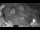 Webcam in Höchstadt, 3.7 mi away