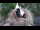 Webcam in Ehingen, 9.1 mi away