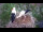 Webcam in Ehingen, 5 mi away
