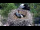 Webcam in Ehingen, 10.6 mi away