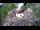Webcam in Ehingen, 12.7 mi away