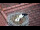 Webcam in Ehingen, 10.6 mi away