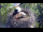 Webcam in Ehingen, 0.1 mi away