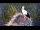 Webcam in Ehingen, 8.1 mi away