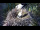 Webcam in Ehingen, 9.1 mi away