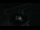 Webcam in Ehingen, 9.1 mi away