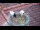 Webcam in Ehingen, 14.8 km