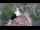 Webcam in Ehingen, 9.4 mi away