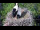 Webcam in Ehingen, 10.6 mi away