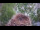 Webcam in Ehingen, 15.4 km