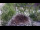Webcam in Ehingen, 7.5 km