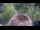 Webcam in Ehingen, 7.5 mi away