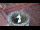 Webcam in Ehingen, 12.1 mi away