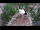 Webcam in Ehingen, 9.1 mi away