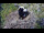Webcam in Ehingen, 10.1 mi away
