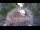 Webcam in Ehingen, 15.4 km