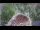 Webcam in Ehingen, 9.1 mi away