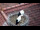 Webcam in Ehingen, 15.4 km entfernt