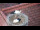 Webcam in Ehingen, 0.1 km