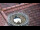 Webcam in Ehingen, 9.4 mi away