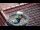 Webcam in Ehingen, 10.6 mi away