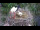 Webcam in Ehingen, 9.4 mi away