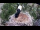 Webcam in Ehingen, 10.6 mi away