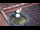 Webcam in Ehingen, 11.1 mi away