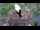 Webcam in Ehingen, 9.4 mi away