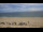 Webcam in Hörnum (Sylt), 5.8 mi away