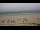 Webcam in Hörnum (Sylt), 0.2 mi away