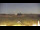 Webcam in Tinnum (Sylt), 0.4 mi away