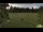 Webcam in Todtnauberg, 3.5 mi away