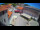 Webcam in Jelsa (Lesina), 3.7 km