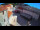 Webcam in Jelsa (Lesina), 0.5 km