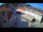 Webcam in Jelsa (Hvar), 0.3 km