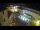 Webcam in Jelsa (Hvar), 22.5 km entfernt