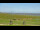 Webcam in Cuxhaven, 4.3 mi away