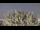 Webcam in Kiel, 3.7 km