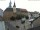 Webcam in Roßwein, 2.8 mi away