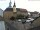 Webcam in Roßwein, 15.6 km