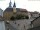 Webcam in Roßwein, 19.8 mi away