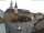 Webcam in Roßwein, 28.6 km entfernt