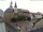 Webcam in Roßwein, 7.3 km entfernt