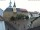 Webcam in Roßwein, 42.7 km